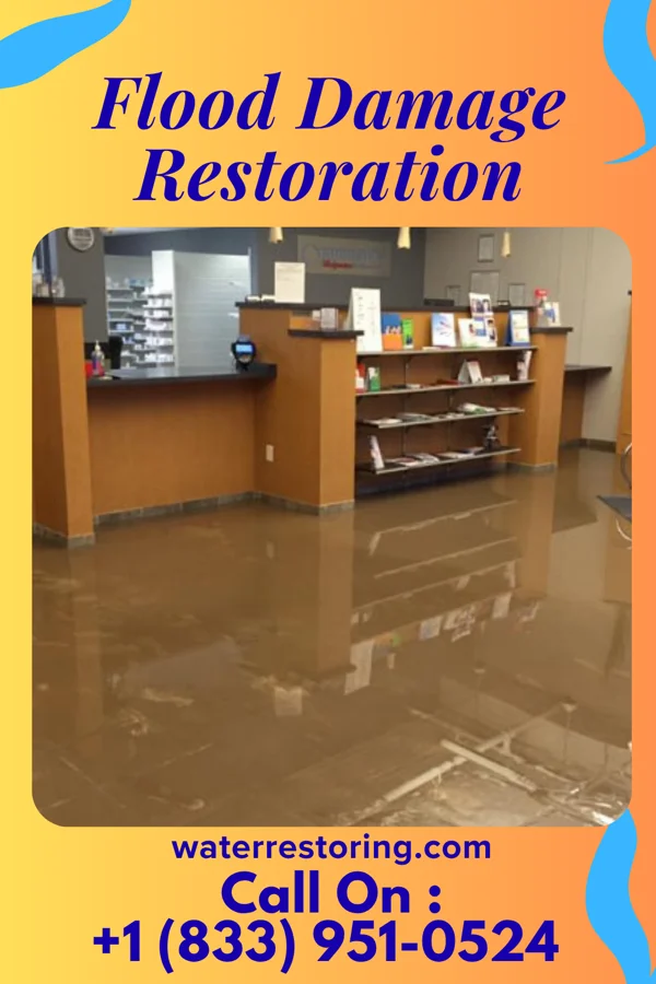 Flood Damage Restoration in Lyndon Station, WI